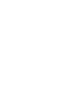 Logo IIJ